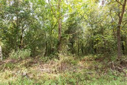 property photo for Stone Bridge Phase V Tract 410, 5.33 acres for sale in LatimerHaskell County, Oklahoma