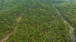 property photo for Stone Bridge Phase V Tract 410, 5.33 acres for sale in LatimerHaskell County, Oklahoma