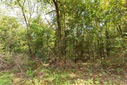 property photo for Stone Bridge Phase V Tract 410, 5.33 acres for sale in LatimerHaskell County, Oklahoma