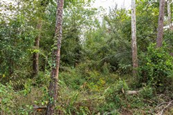 property photo for Stone Bridge Phase V Tract 412, 5.25 acres for sale in LatimerHaskell County, Oklahoma