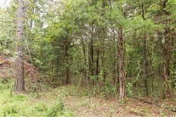 Stone Bridge Phase V Tract 413