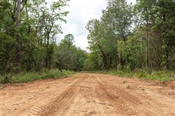 Stone Bridge Phase V Tract 413