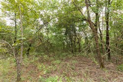 Stone Bridge Phase V Tract 413