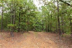 property photo for Stone Bridge Phase V Tract 415, 5.19 acres for sale in LatimerHaskell County, Oklahoma