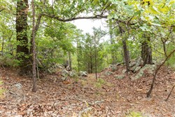 property photo for Stone Bridge Phase V Tract 415, 5.19 acres for sale in LatimerHaskell County, Oklahoma
