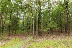 property photo for Stone Bridge Phase V Tract 415, 5.19 acres for sale in LatimerHaskell County, Oklahoma