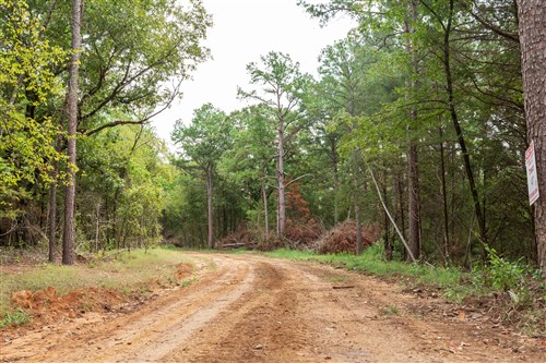 Stone Bridge Phase V Tract 416