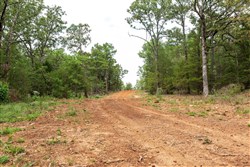 Stone Bridge Phase V Tract 416