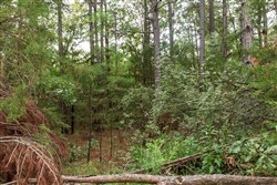 property photo for Stone Bridge Phase V Tract 417, 5.93 acres for sale in LatimerHaskell County, Oklahoma