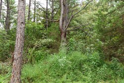 property photo for Stone Bridge Phase V Tract 417, 5.93 acres for sale in LatimerHaskell County, Oklahoma