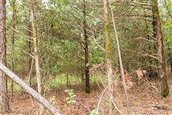 property photo for Stone Bridge Phase V Tract 417, 5.93 acres for sale in LatimerHaskell County, Oklahoma