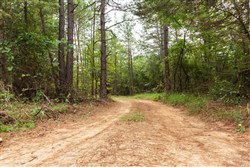 property photo for Stone Bridge Phase V Tract 418, 6.25 acres for sale in LatimerHaskell County, Oklahoma