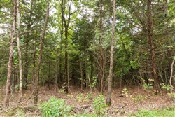 property photo for Stone Bridge Phase V Tract 418, 6.25 acres for sale in LatimerHaskell County, Oklahoma