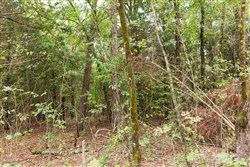 property photo for Stone Bridge Phase V Tract 418, 6.25 acres for sale in LatimerHaskell County, Oklahoma