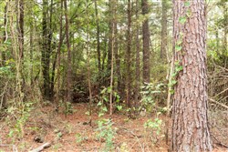 property photo for Stone Bridge Phase V Tract 418, 6.25 acres for sale in LatimerHaskell County, Oklahoma