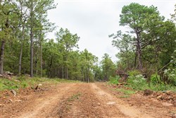 Stone Bridge Phase V Tract 419