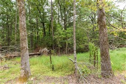 Stone Bridge Phase V Tract 419