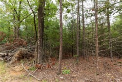 Stone Bridge Phase V Tract 419