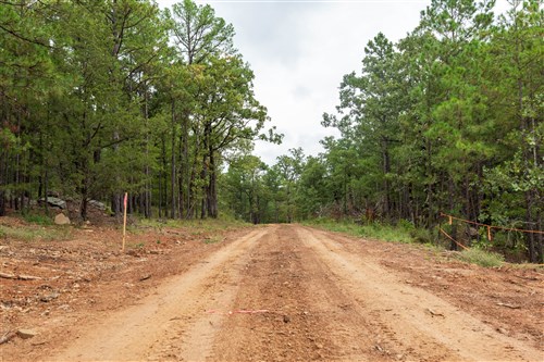 Stone Bridge Phase V Tract 420