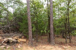 Stone Bridge Phase V Tract 420