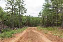 Stone Bridge Phase V Tract 420