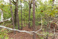 property photo for Stone Bridge Phase V Tract 421, 6.7 acres for sale in LatimerHaskell County, Oklahoma