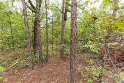property photo for Stone Bridge Phase V Tract 421, 6.7 acres for sale in LatimerHaskell County, Oklahoma