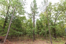 property photo for Stone Bridge Phase V Tract 421, 6.7 acres for sale in LatimerHaskell County, Oklahoma