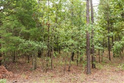 property photo for Stone Bridge Phase V Tract 421, 6.7 acres for sale in LatimerHaskell County, Oklahoma