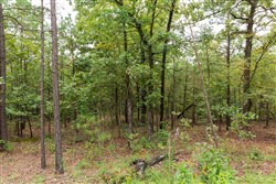 property photo for Stone Bridge Phase V Tract 421, 6.7 acres for sale in LatimerHaskell County, Oklahoma