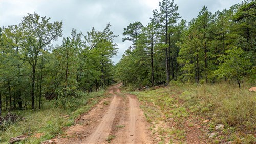 Stone Bridge Phase V Tract 422