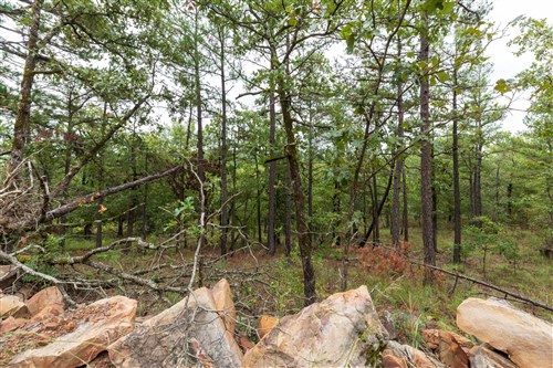 Stone Bridge Phase V Tract 422