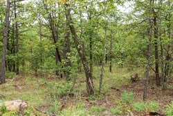 Stone Bridge Phase V Tract 422