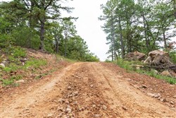 Stone Bridge Phase V Tract 422