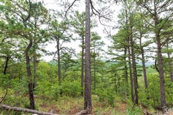 property photo for Stone Bridge Phase V Tract 423, 5.01 acres for sale in LatimerHaskell County, Oklahoma