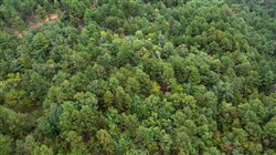 property photo for Stone Bridge Phase V Tract 423, 5.01 acres for sale in LatimerHaskell County, Oklahoma