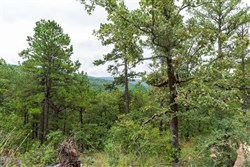 property photo for Stone Bridge Phase V Tract 423, 5.01 acres for sale in LatimerHaskell County, Oklahoma