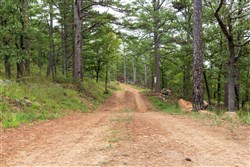 property photo for Stone Bridge Phase V Tract 424, 5.59 acres for sale in LatimerHaskell County, Oklahoma