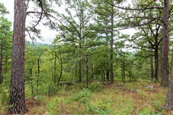 property photo for Stone Bridge Phase V Tract 424, 5.59 acres for sale in LatimerHaskell County, Oklahoma