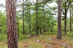 property photo for Stone Bridge Phase V Tract 424, 5.59 acres for sale in LatimerHaskell County, Oklahoma