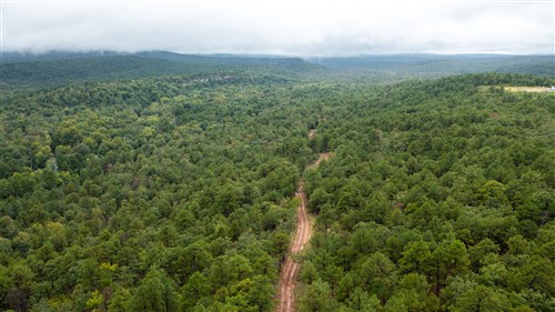 Stone Bridge Phase V Tract 425