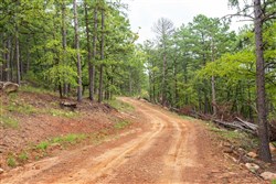 Stone Bridge Phase V Tract 425