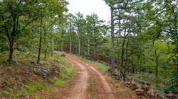 Stone Bridge Phase V Tract 425