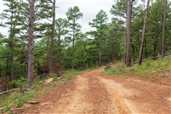 Stone Bridge Phase V Tract 425