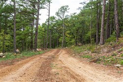 Stone Bridge Phase V Tract 426