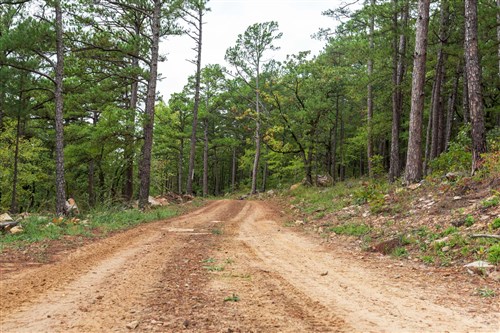 Stone Bridge Phase V Tract 426