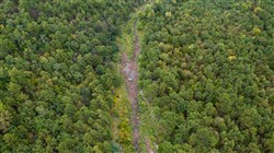 Stone Bridge Phase V Tract 426
