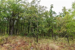 Stone Bridge Phase V Tract 426