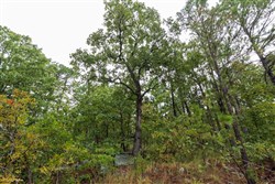 Stone Bridge Phase V Tract 426