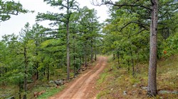 Stone Bridge Phase V Tract 427